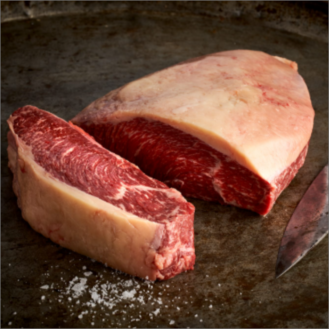 Punta Ganso novillito Angus Argentina